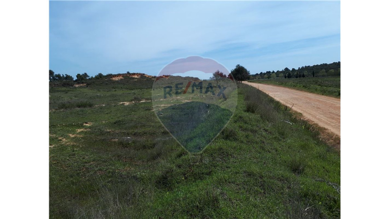 Terreno P/ Prédio para Venda em Conceição e Estoi Foto 2