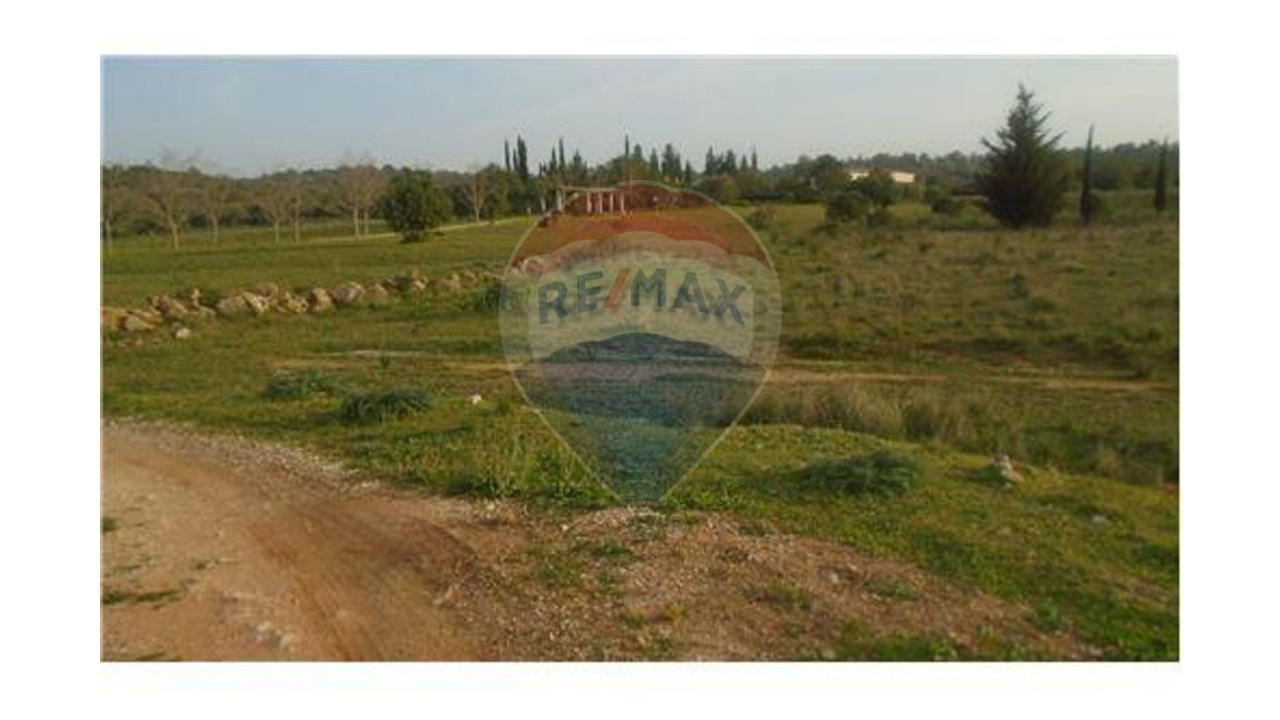 Terreno P/ Prédio para Venda em Algoz e Tunes Foto 5