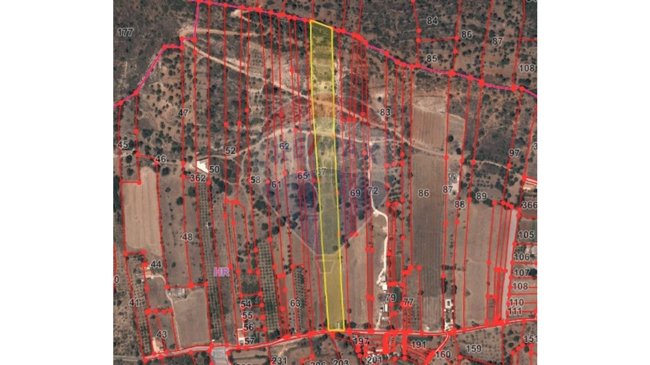 Terreno P/ Prédio para Venda em São Bartolomeu de Messines Foto 10