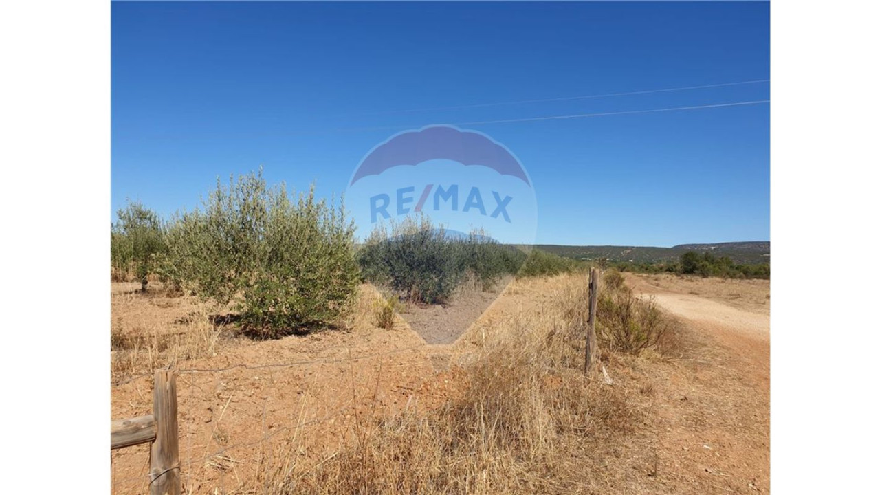 Terreno P/ Prédio para Venda em Paderne Foto 1