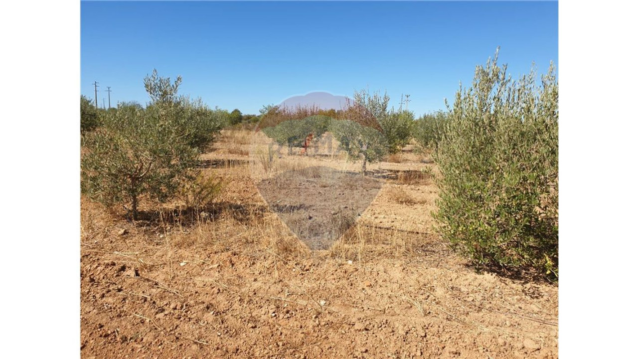 Terreno P/ Prédio para Venda em Paderne Foto 4