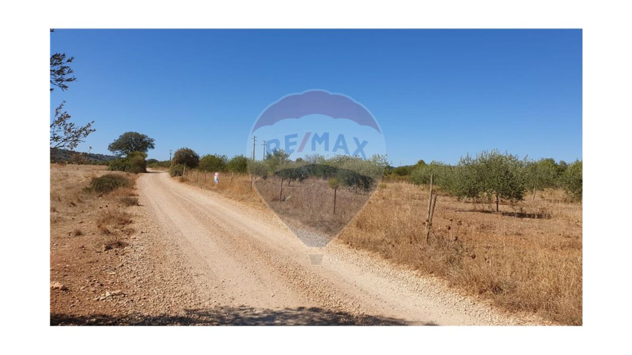 Terreno P/ Prédio para Venda em Paderne Foto 8