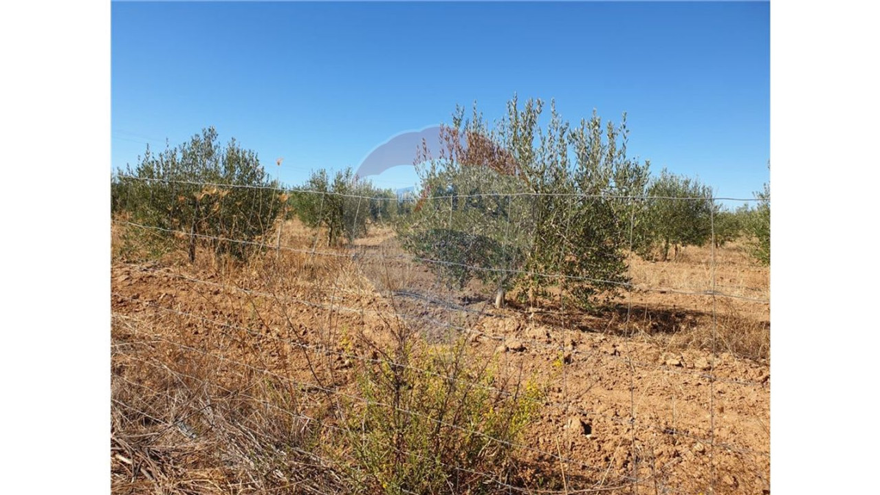 Terreno P/ Prédio para Venda em Paderne Foto 3