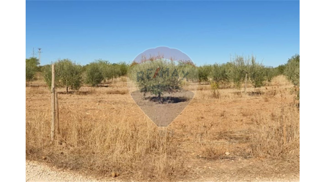 Terreno P/ Prédio para Venda em Paderne Foto 2