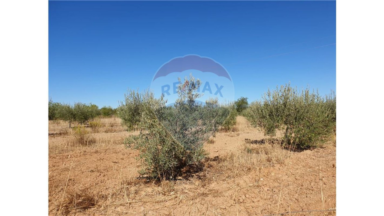 Terreno P/ Prédio para Venda em Paderne Foto 5