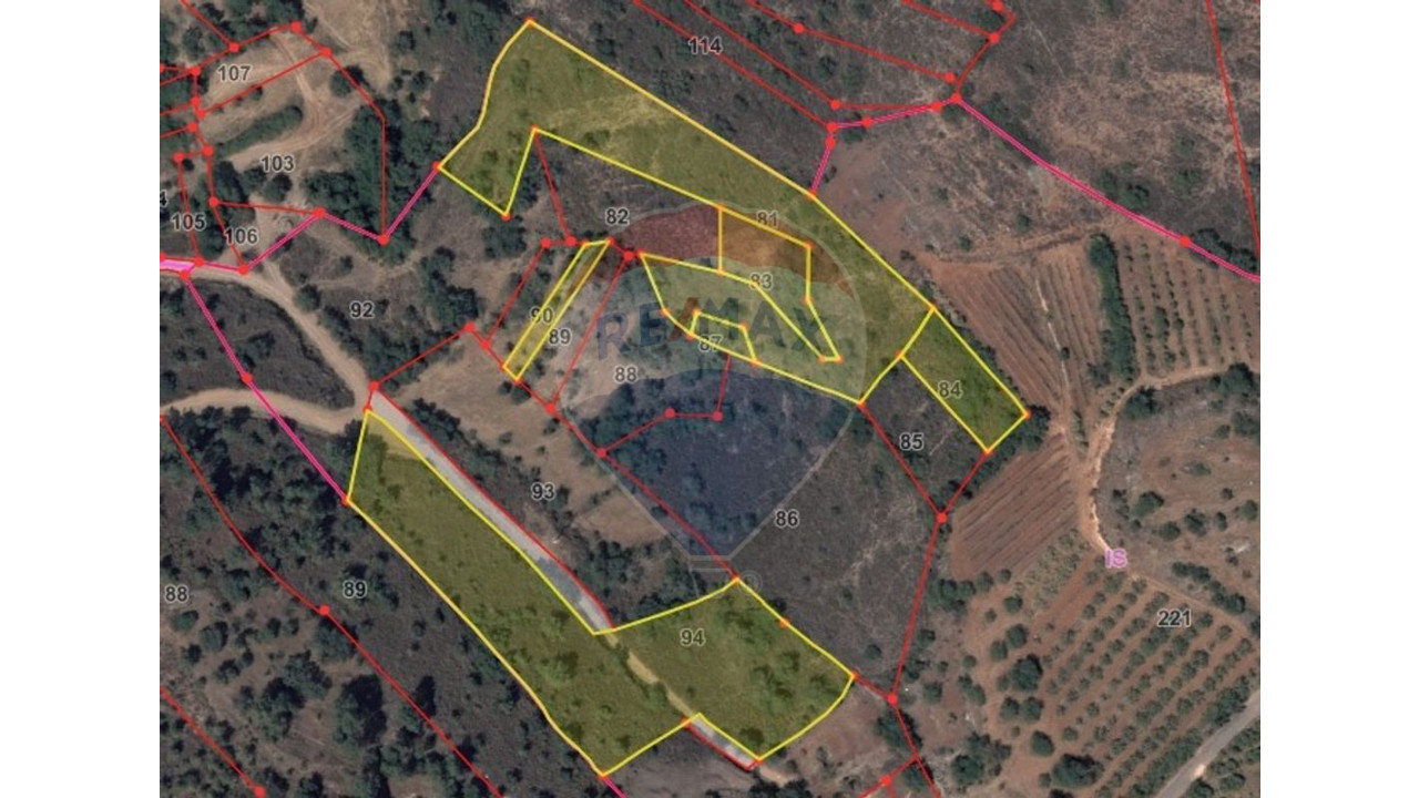 Terreno P/ Prédio para Venda em São Bartolomeu de Messines Foto 11