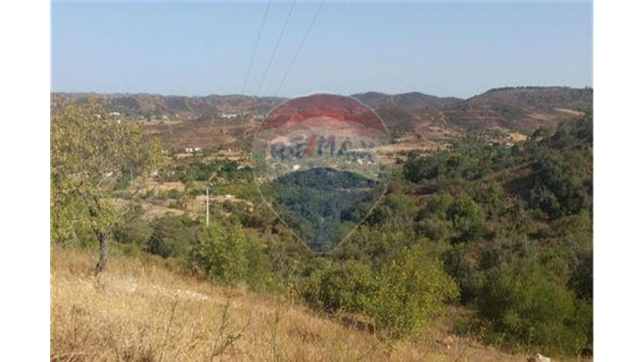 Terreno P/ Prédio para Venda em São Bartolomeu de Messines Foto 9