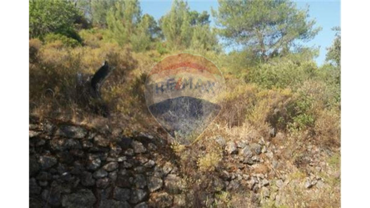 Terreno P/ Prédio para Venda em São Bartolomeu de Messines Foto 6