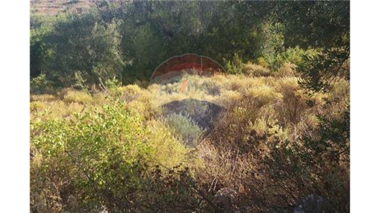 Terreno P/ Prédio para Venda em São Bartolomeu de Messines Foto 4