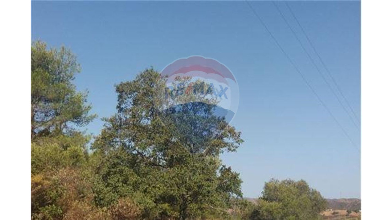 Terreno P/ Prédio para Venda em São Bartolomeu de Messines Foto 7