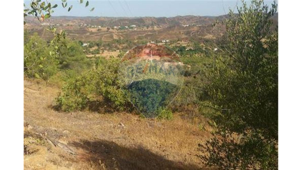Terreno P/ Prédio para Venda em São Bartolomeu de Messines Foto 8