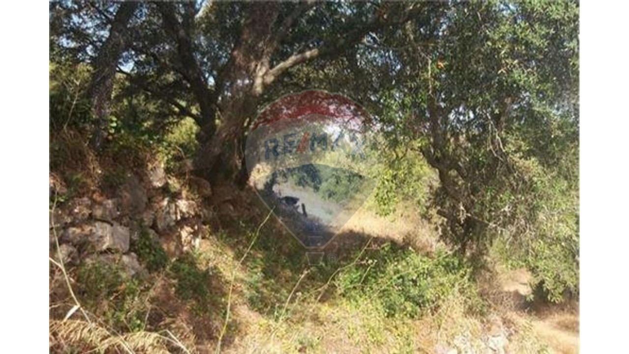 Terreno P/ Prédio para Venda em São Bartolomeu de Messines Foto 1