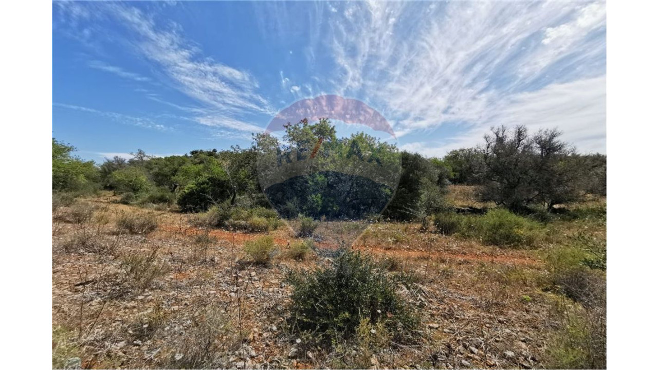 Terreno P/ Prédio para Venda em Silves Foto 3