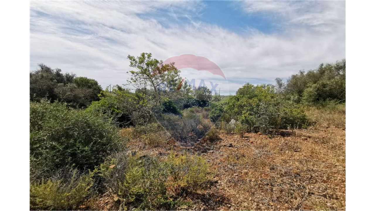 Terreno P/ Prédio para Venda em Silves Foto 5
