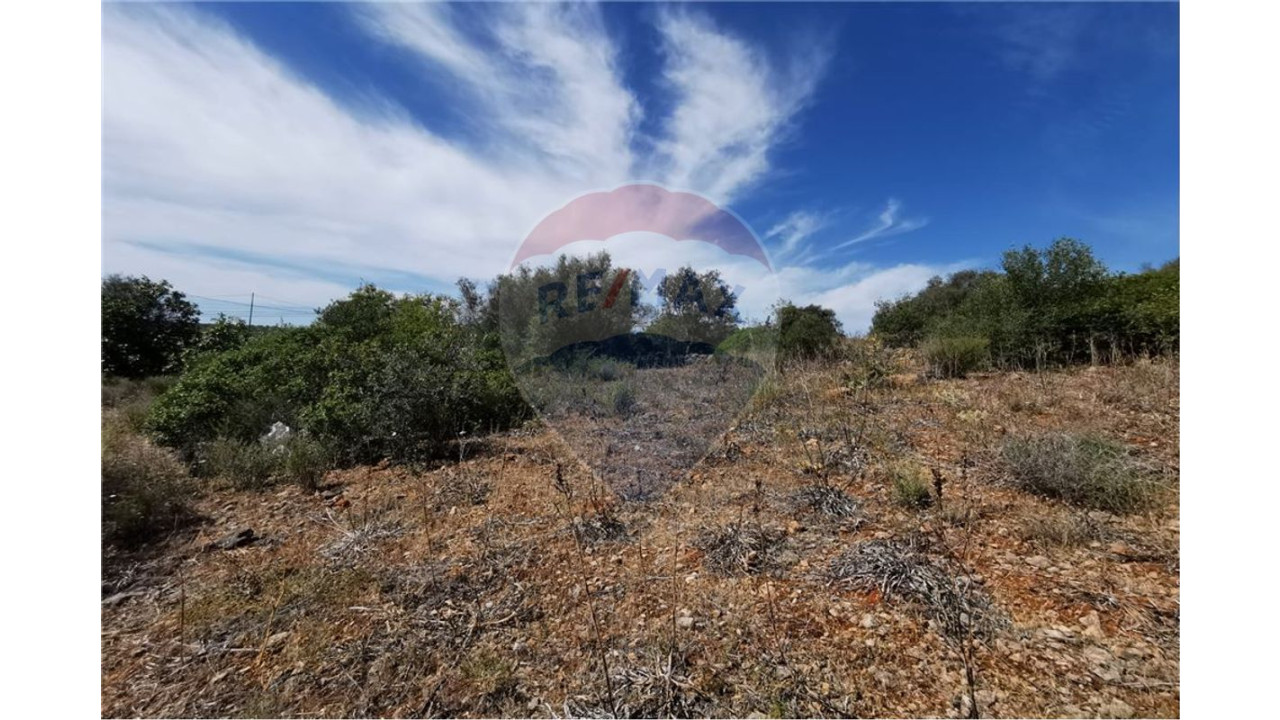 Terreno P/ Prédio para Venda em Silves Foto 2
