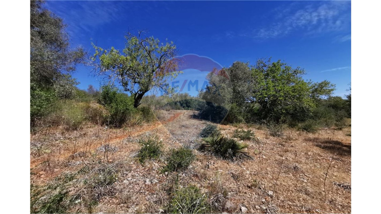 Terreno P/ Prédio para Venda em Silves Foto 1