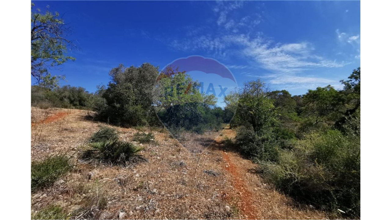 Terreno P/ Prédio para Venda em Silves Foto 6