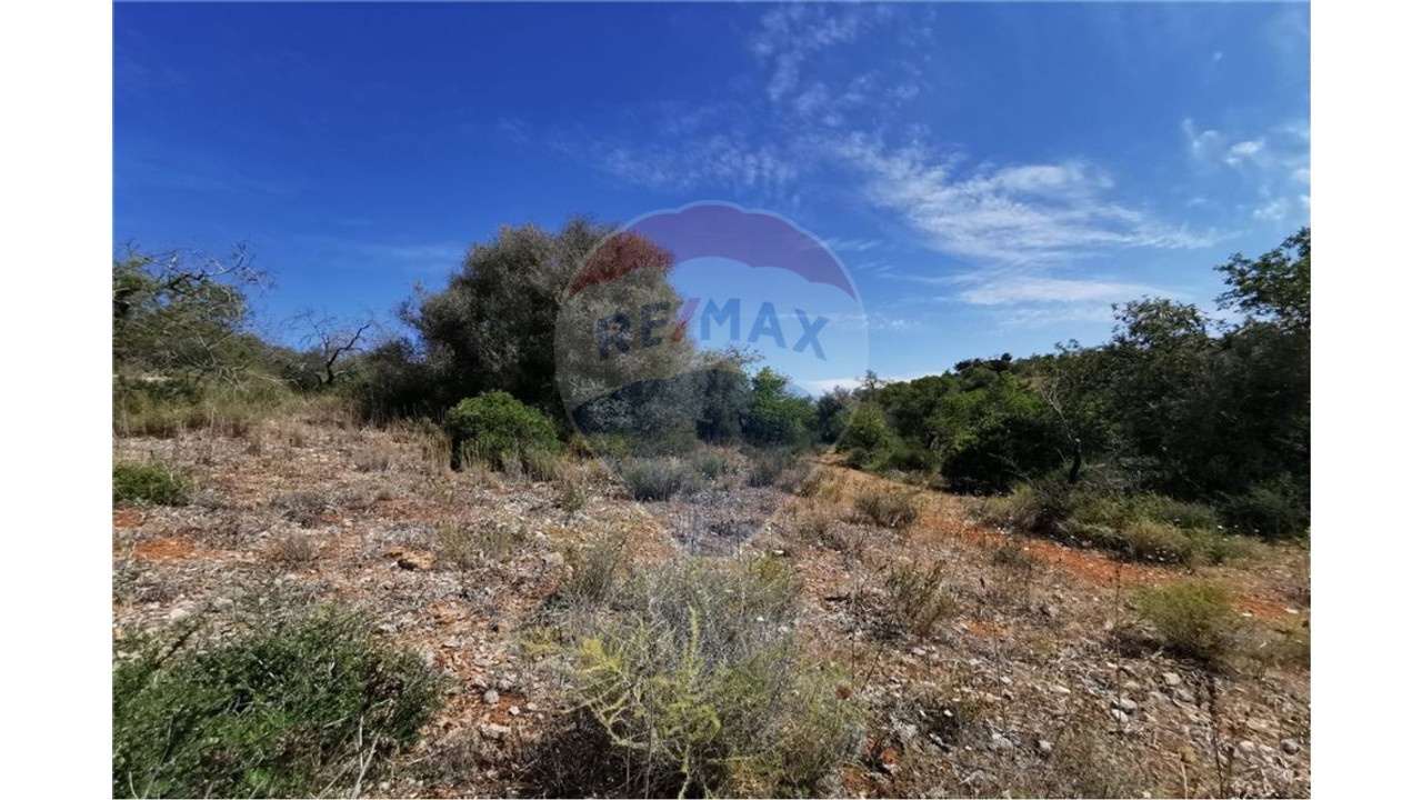 Terreno P/ Prédio para Venda em Silves Foto 4