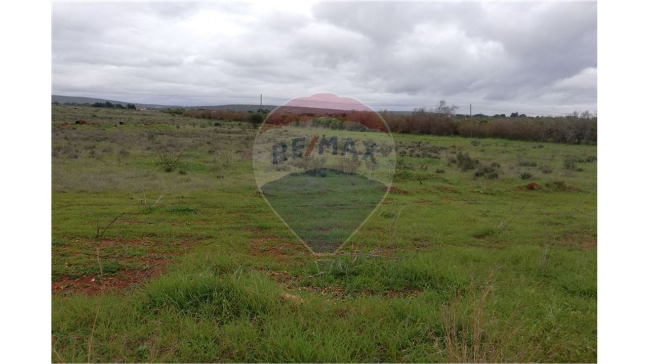 Terreno P/ Prédio para Venda em Paderne Foto 7