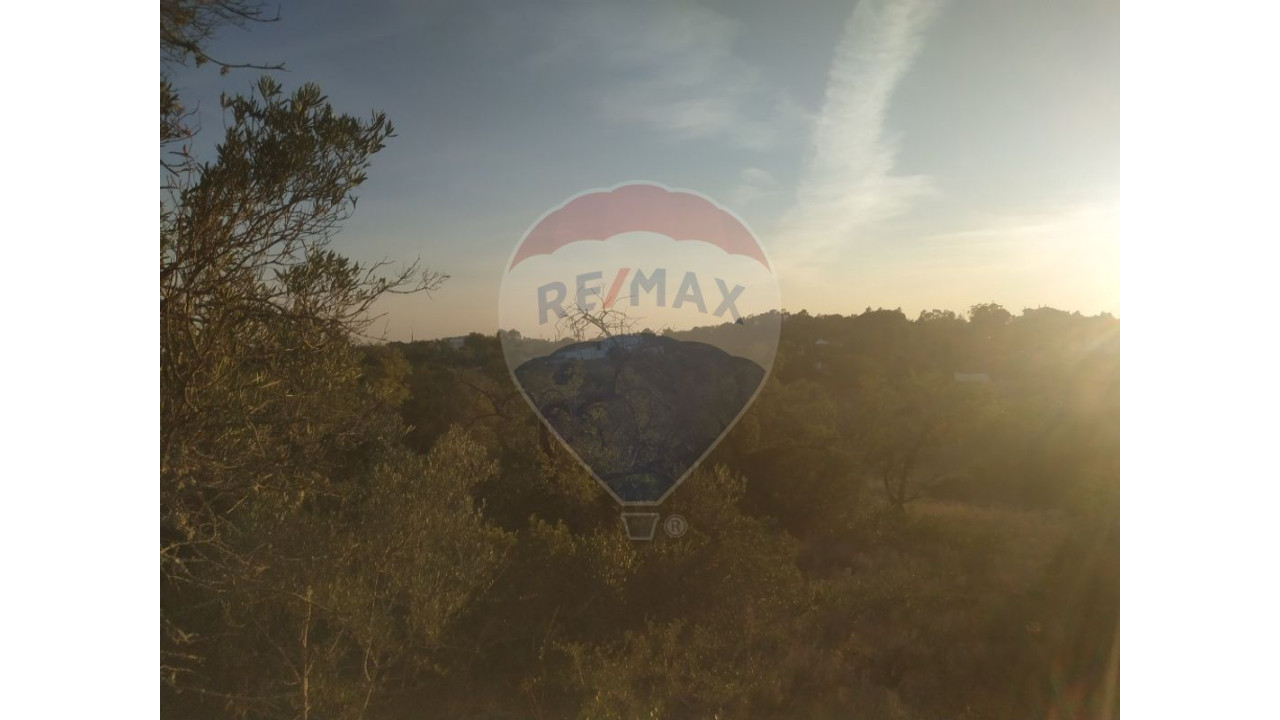 Terreno P/ Prédio para Venda em Moncarapacho e Fuseta Foto 3