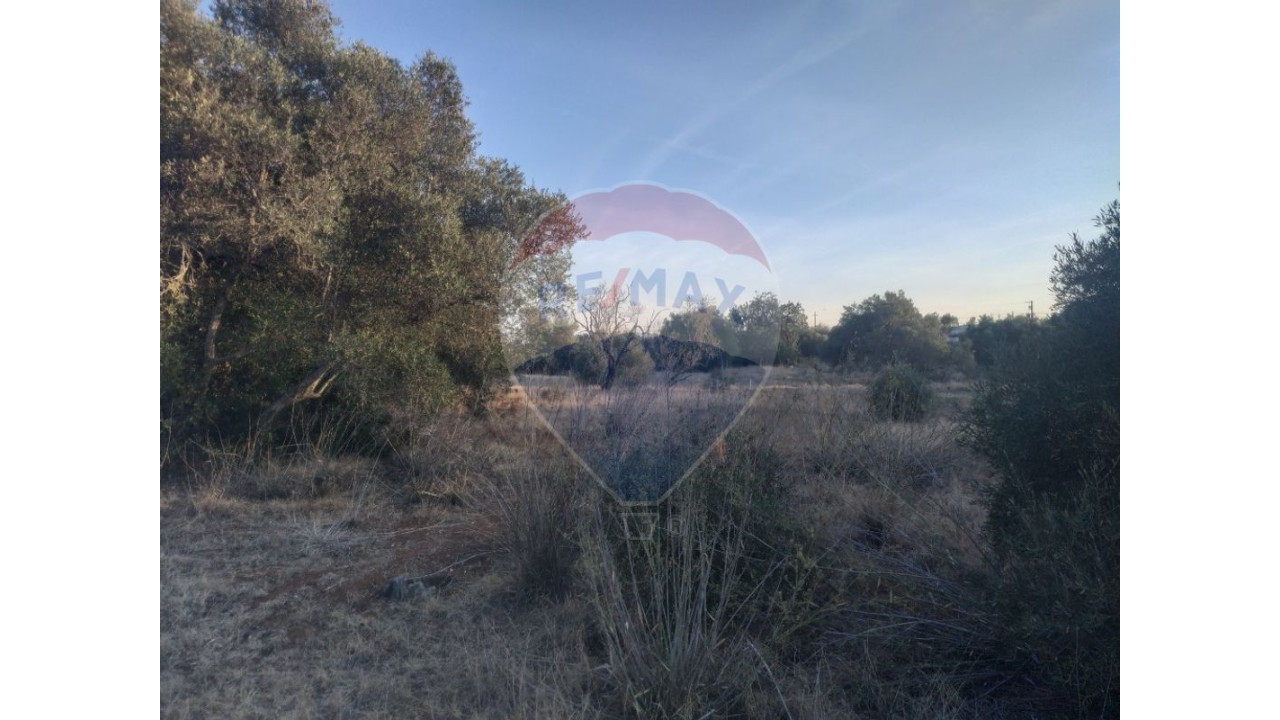 Terreno P/ Prédio para Venda em Moncarapacho e Fuseta Foto 10