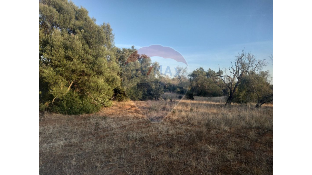 Terreno P/ Prédio para Venda em Moncarapacho e Fuseta