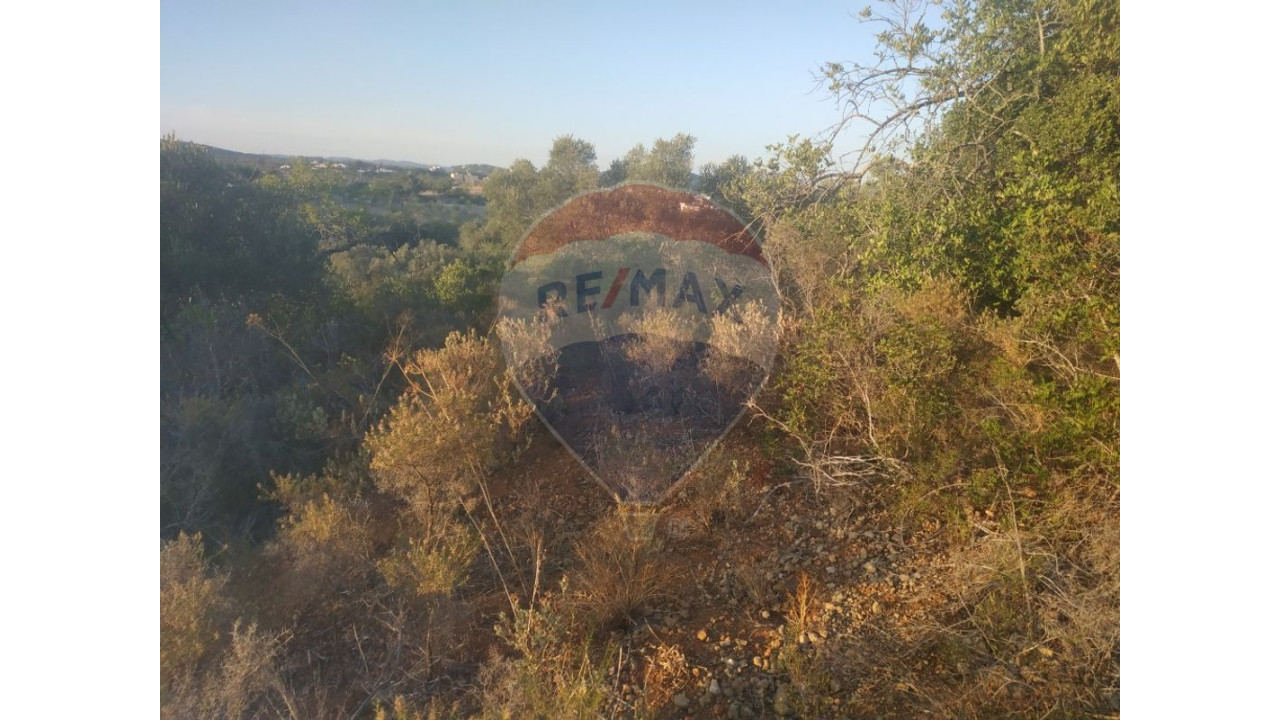 Terreno P/ Prédio para Venda em Moncarapacho e Fuseta Foto 2