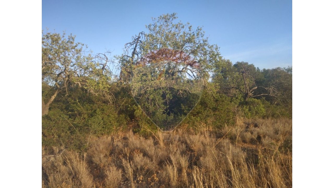 Terreno P/ Prédio para Venda em Moncarapacho e Fuseta Foto 4