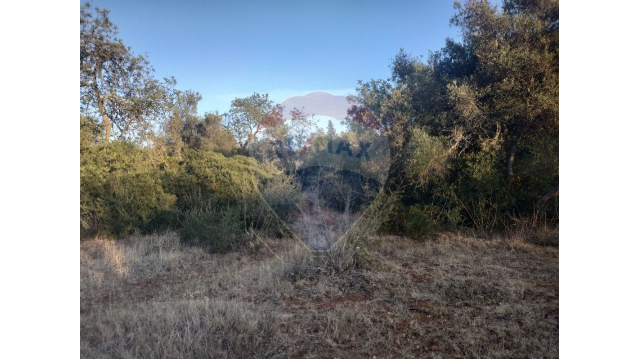 Terreno P/ Prédio para Venda em Moncarapacho e Fuseta Foto 9
