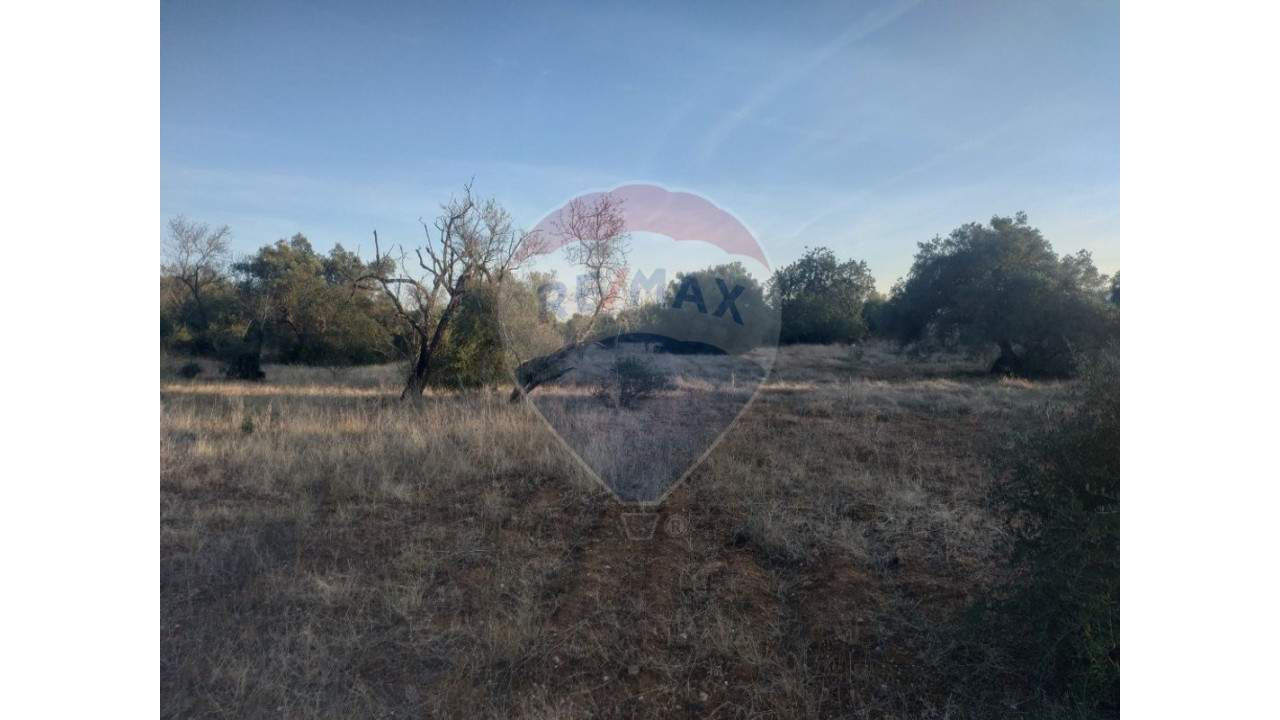 Terreno P/ Prédio para Venda em Moncarapacho e Fuseta Foto 12