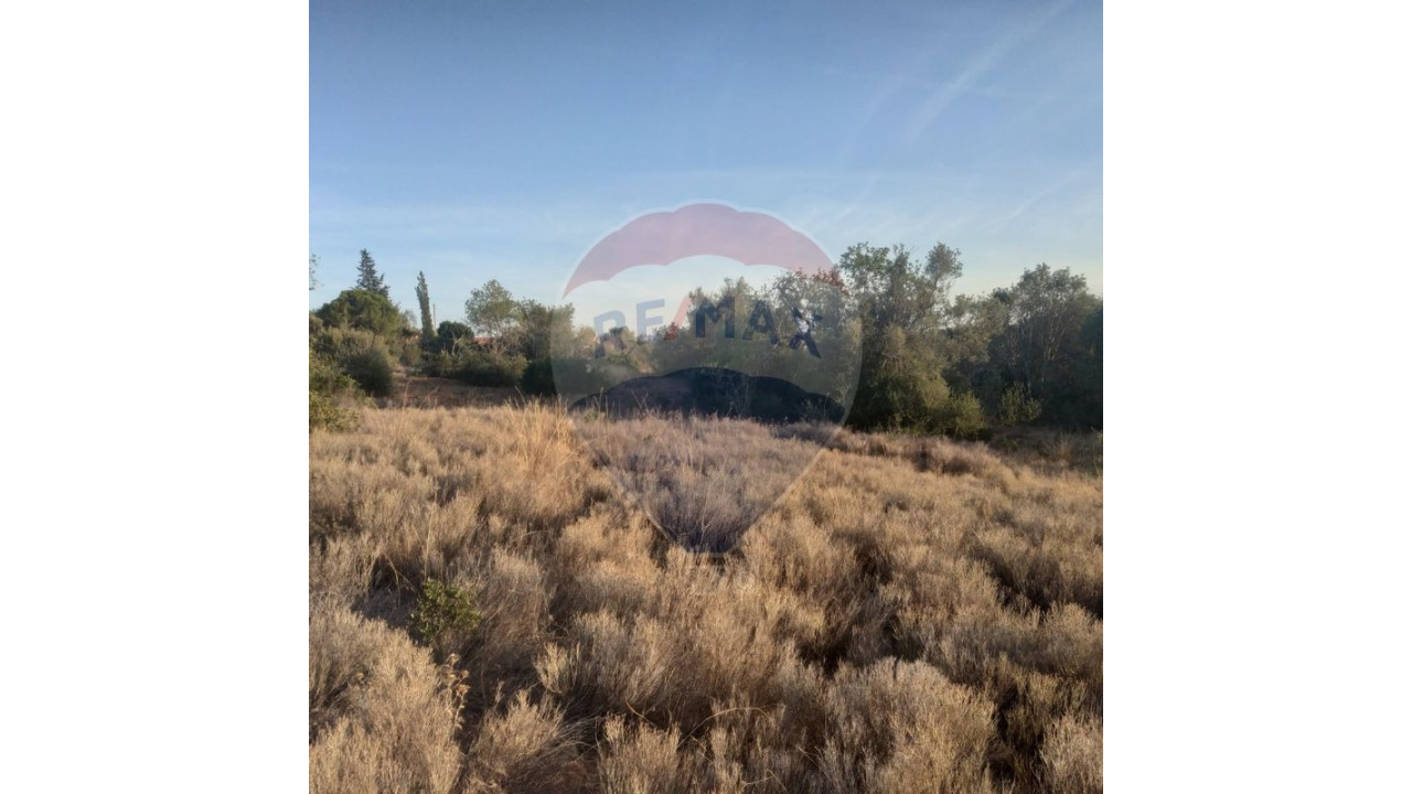 Terreno P/ Prédio para Venda em Moncarapacho e Fuseta Foto 6