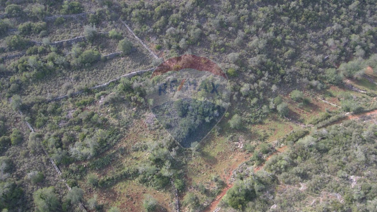 Terreno P/ Prédio para Venda em Boliqueime Foto 3
