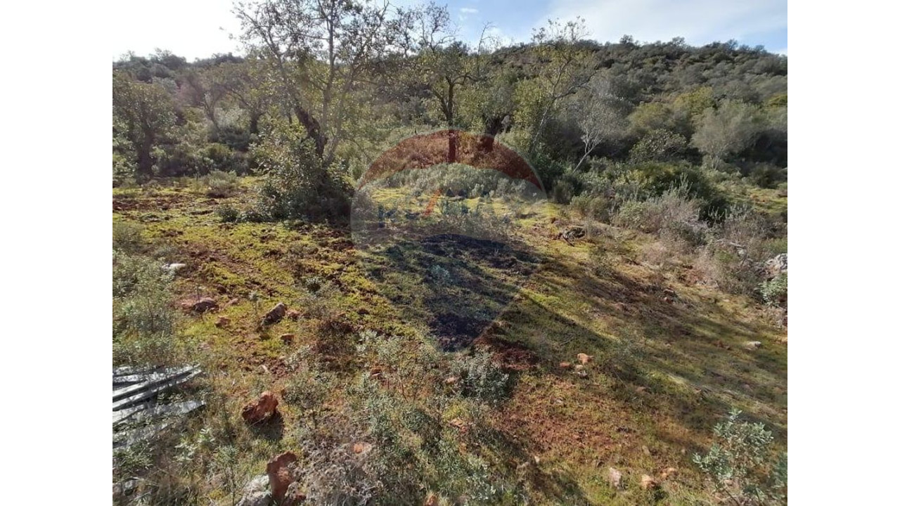 Terreno P/ Prédio para Venda em Boliqueime Foto 7