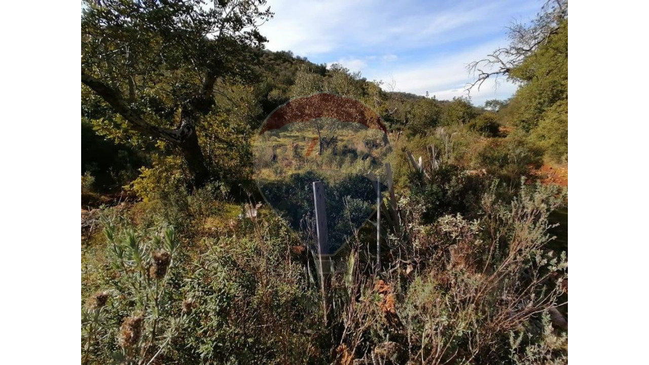 Terreno P/ Prédio para Venda em Boliqueime Foto 6