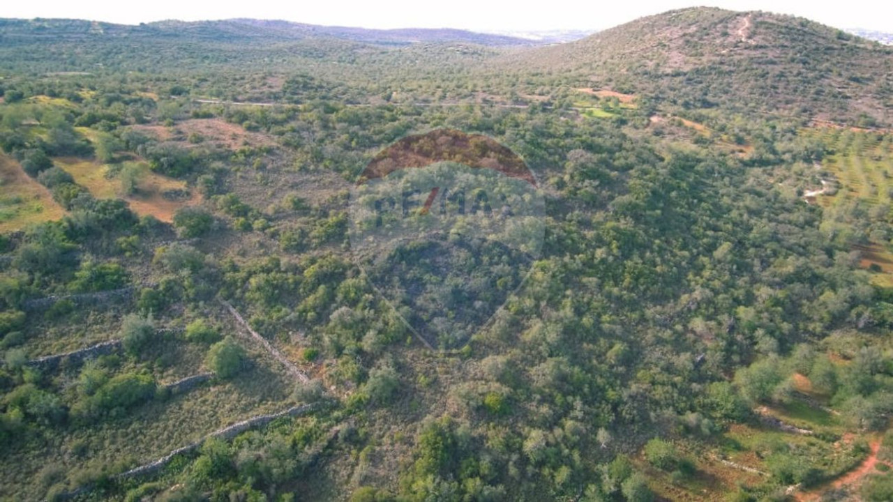 Terreno P/ Prédio para Venda em Boliqueime Foto 4