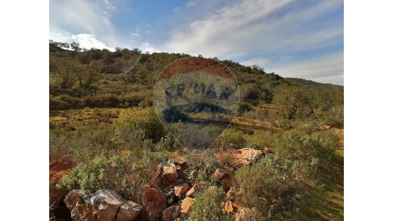 Terreno P/ Prédio para Venda em Boliqueime Foto 8