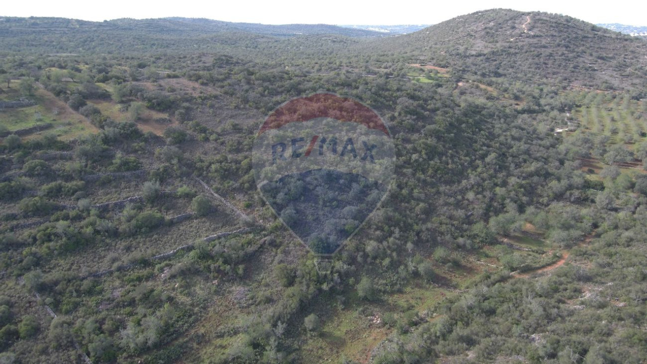 Terreno P/ Prédio para Venda em Boliqueime Foto 2