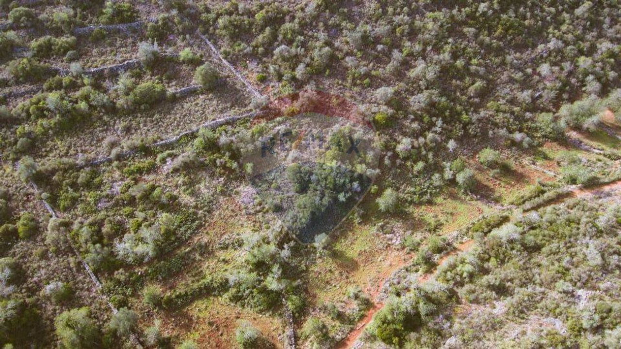 Terreno P/ Prédio para Venda em Boliqueime Foto 9