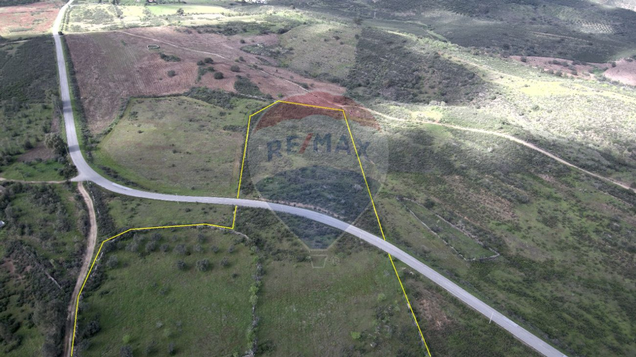 Terreno P/ Prédio para Venda em Martim Longo Foto 13