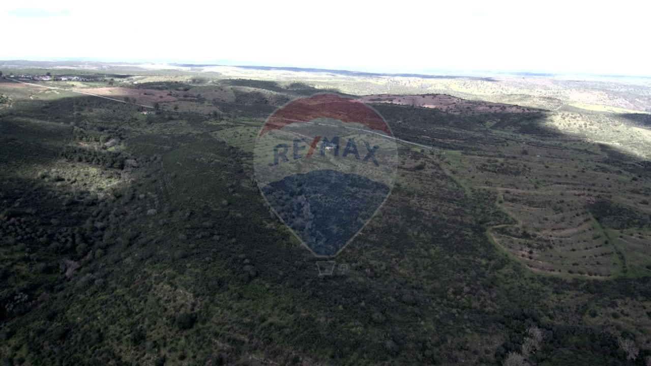 Terreno P/ Prédio para Venda em Martim Longo Foto 12