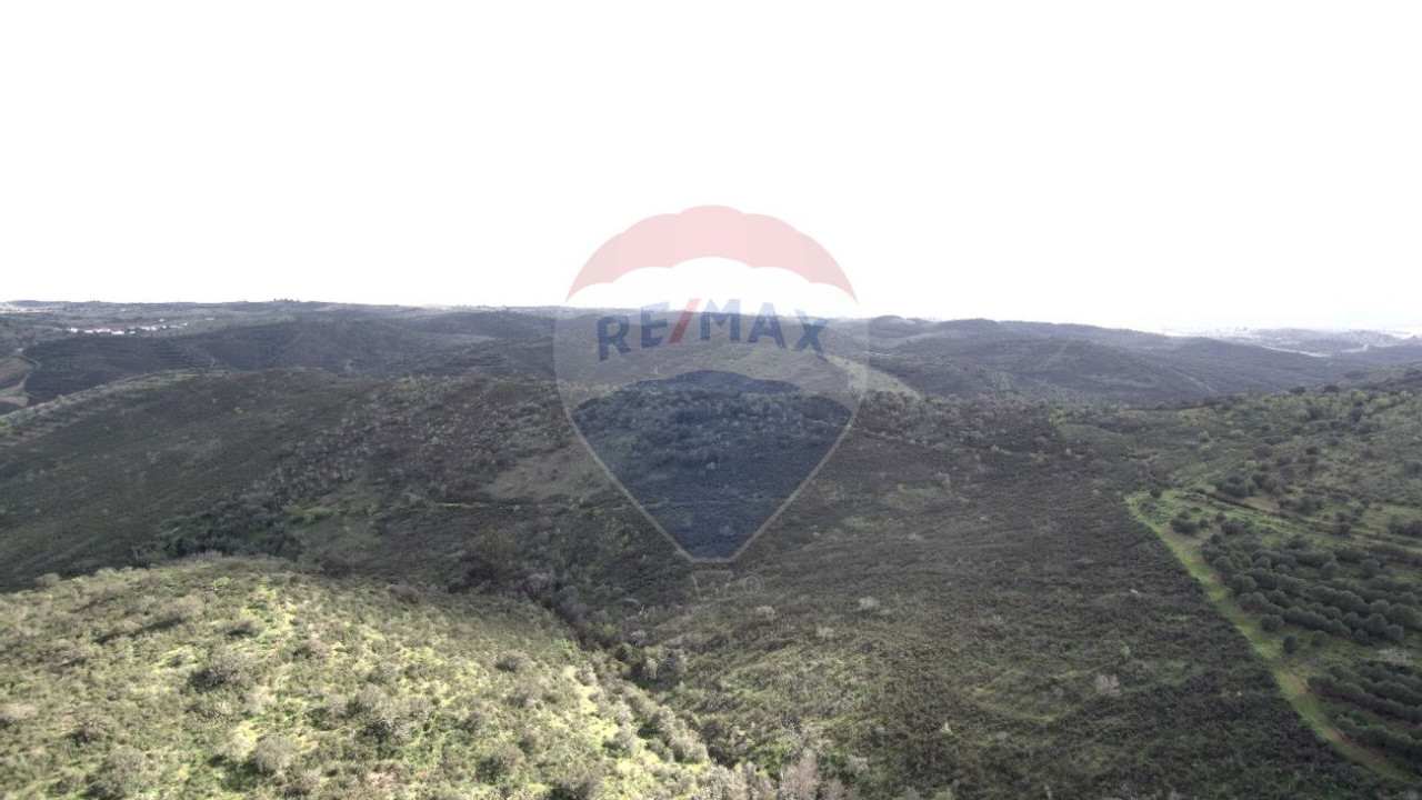 Terreno P/ Prédio para Venda em Martim Longo Foto 5