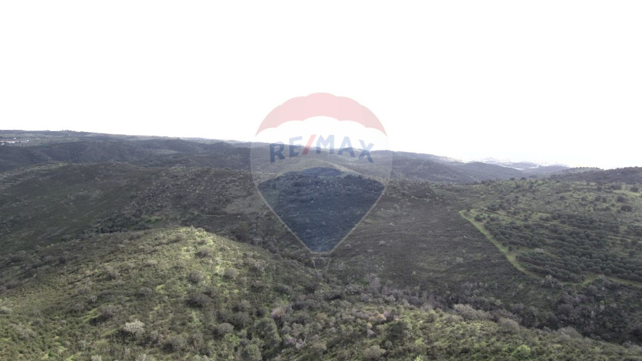 Terreno P/ Prédio para Venda em Martim Longo Foto 15