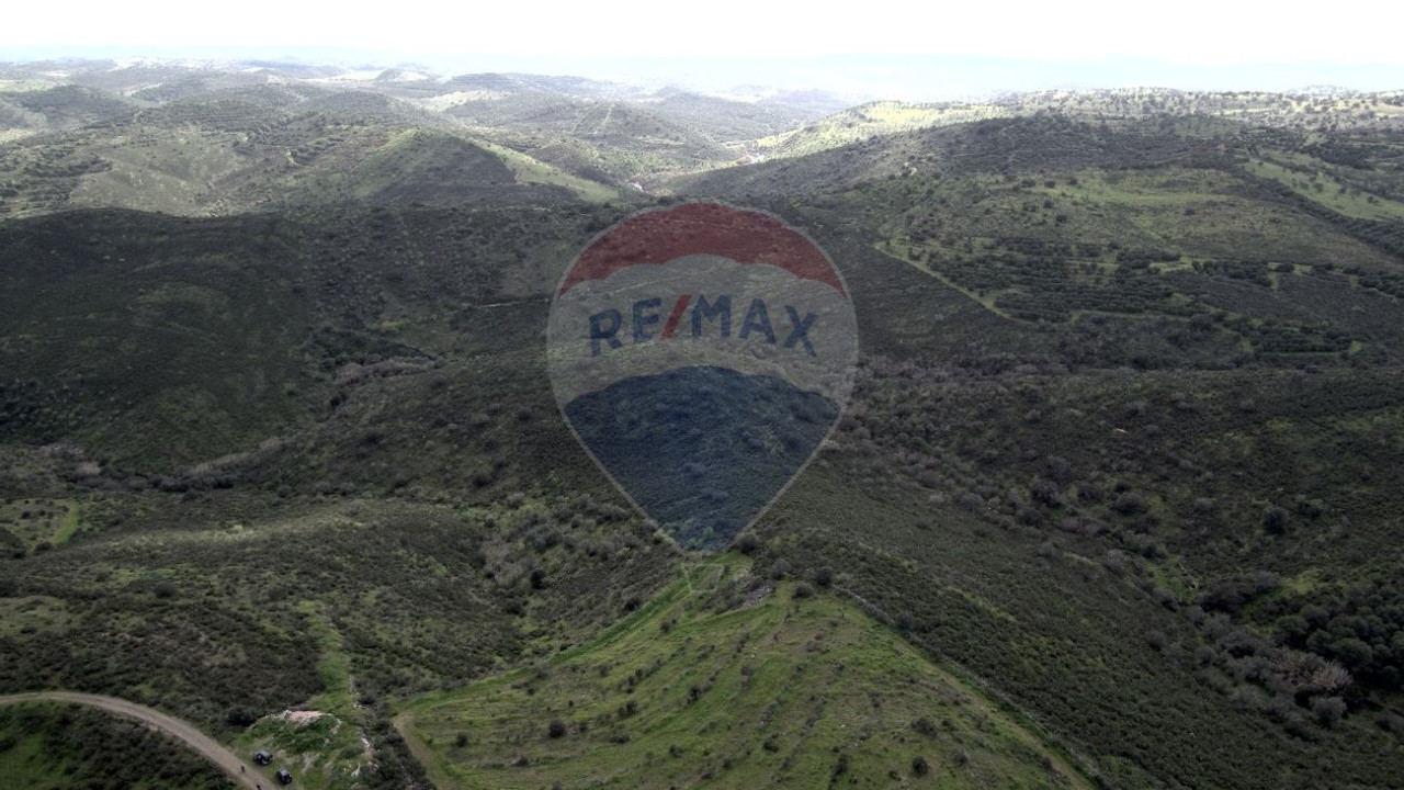 Terreno P/ Prédio para Venda em Martim Longo Foto 11