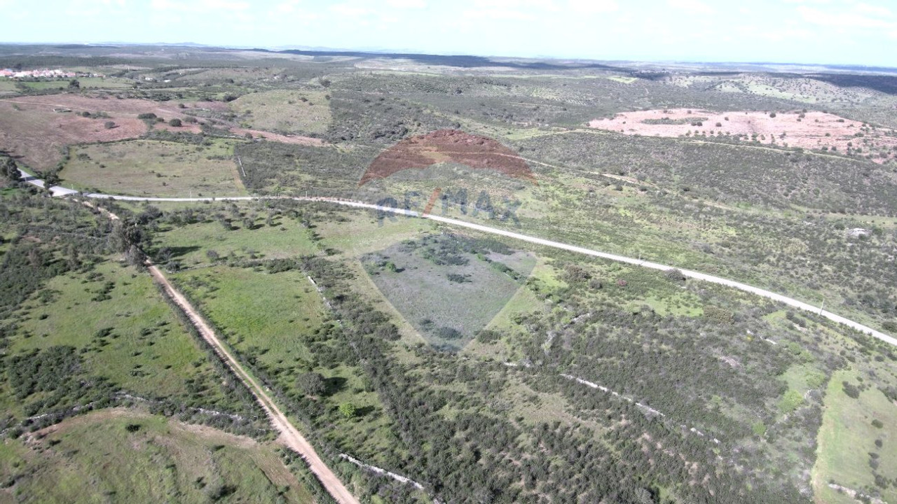 Terreno P/ Prédio para Venda em Martim Longo Foto 14