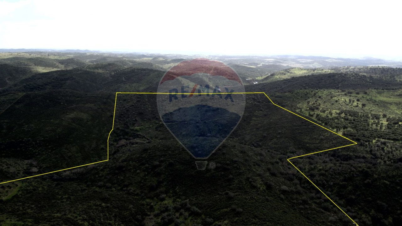 Terreno P/ Prédio para Venda em Martim Longo Foto 9