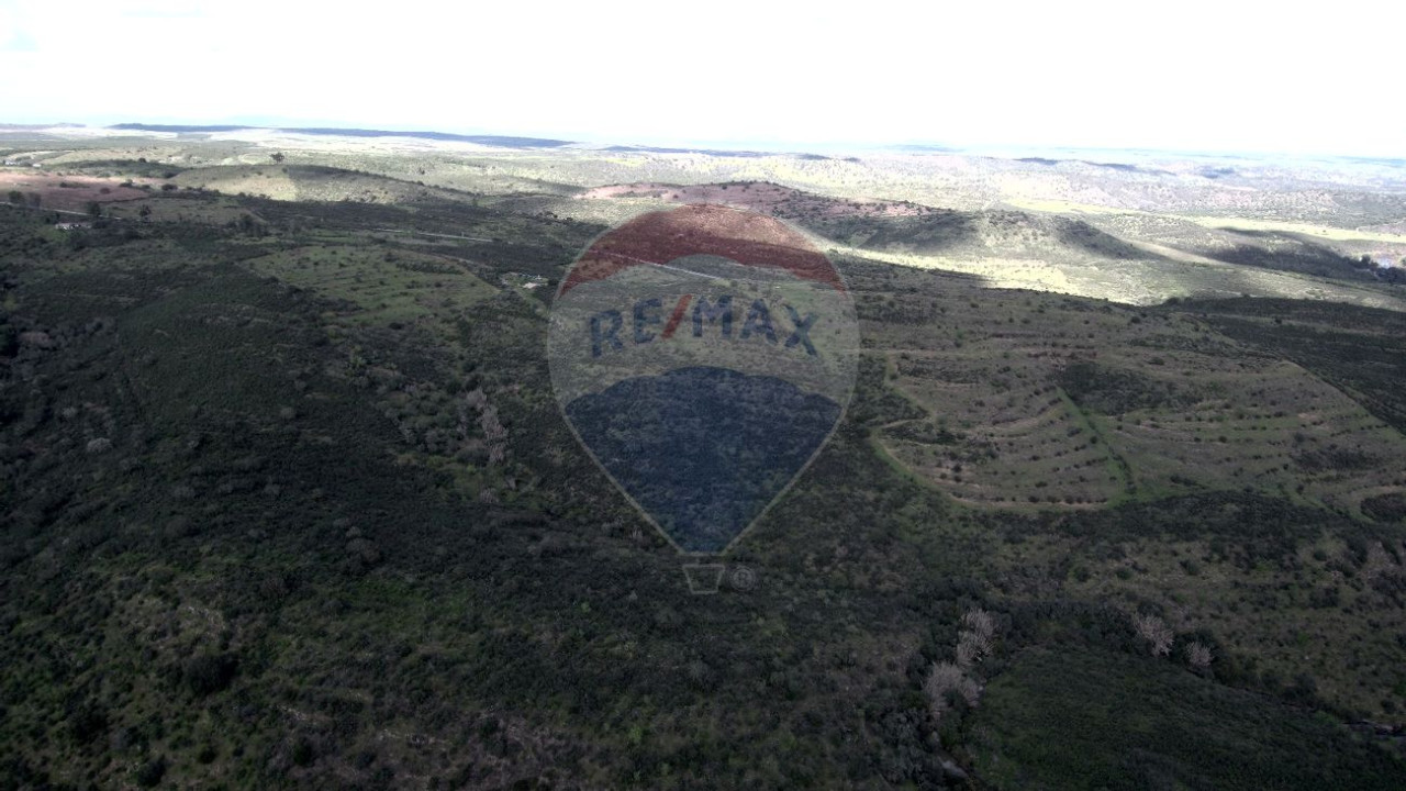 Terreno P/ Prédio para Venda em Martim Longo Foto 10