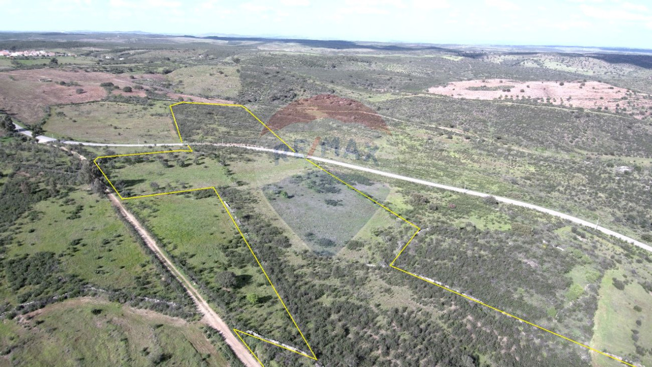 Terreno P/ Prédio para Venda em Martim Longo Foto 2