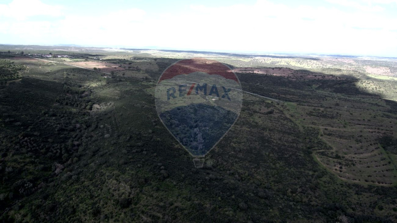 Terreno P/ Prédio para Venda em Martim Longo Foto 7