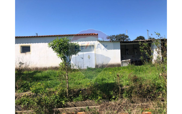 Moradia T4 para Venda em Alcantarilha e Pêra