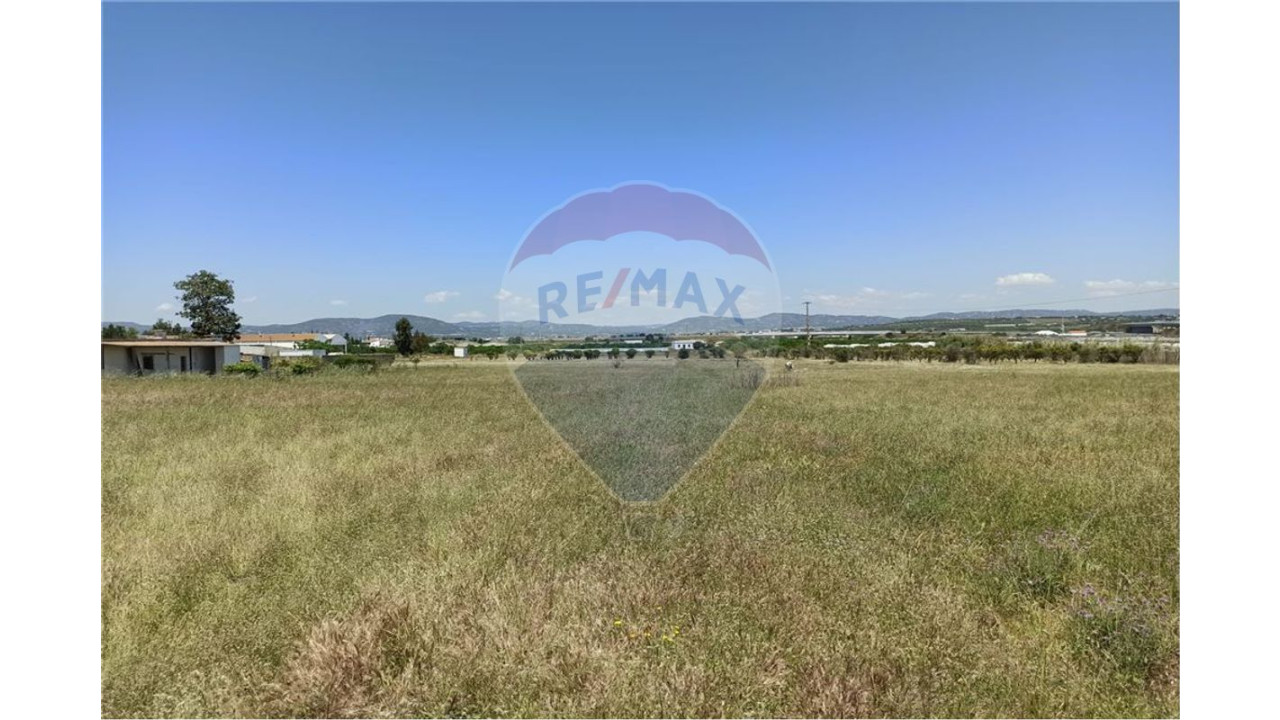 Terreno P/ Prédio para Venda em Faro (Sé e São Pedro) Foto 12